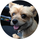 Andy Hanisch profile picture